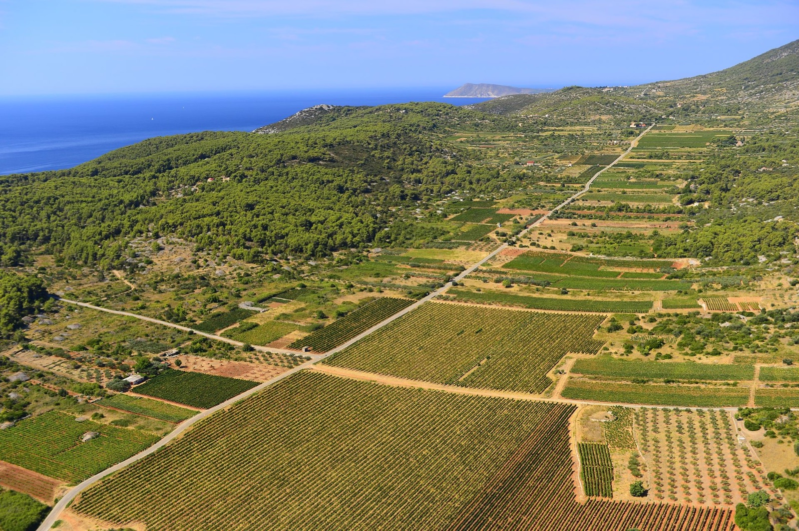 Aerodrom Plisko polje