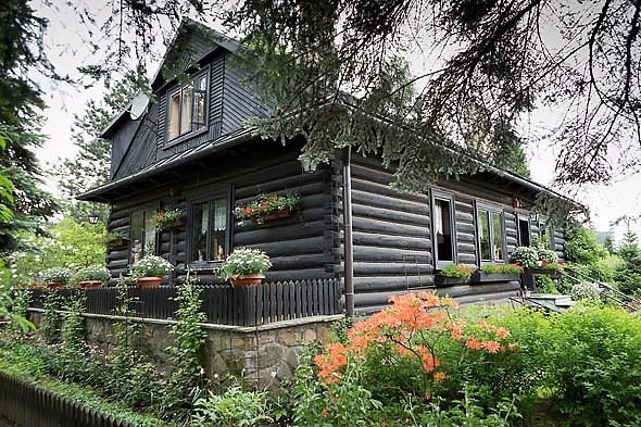 Grzybek | Restauracja